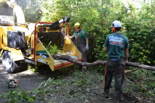 tree services Montevallo